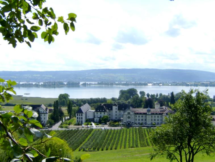 Dach-Fachbetriebe in Allensbach: Stadtansicht