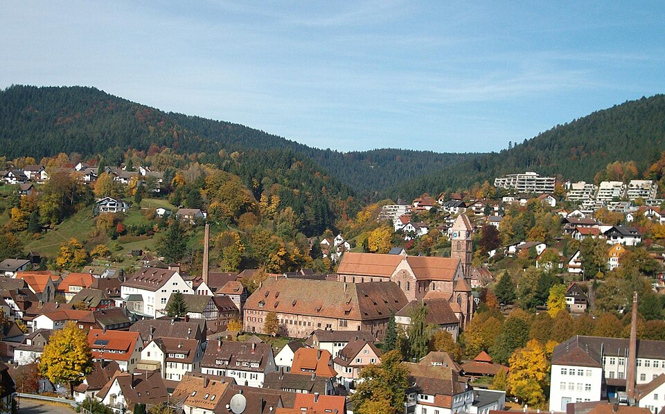 Dach-Fachbetriebe in Alpirsbach: Stadtansicht – Foto: Aspiriniks Dach-Fachbetriebe in Alpirsbach: Stadtansicht