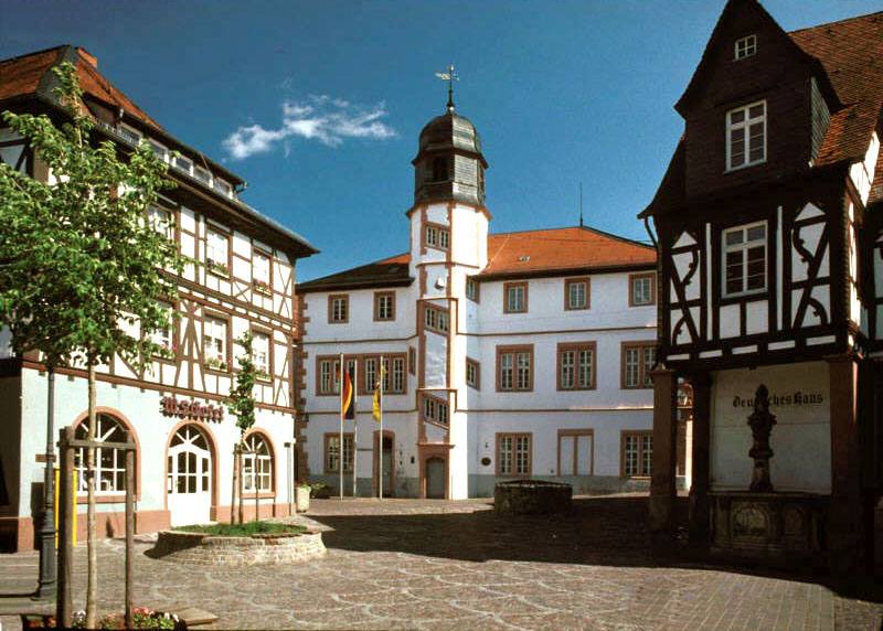 Dach-Fachbetriebe in Alzey: Stadtansicht – Foto: Serie1 Dach-Fachbetriebe in Alzey: Stadtansicht