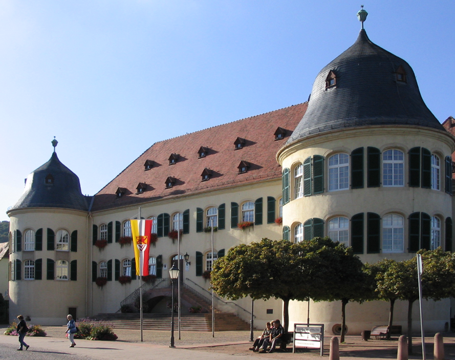 Dach-Fachbetriebe in Bad Bergzabern: Stadtansicht