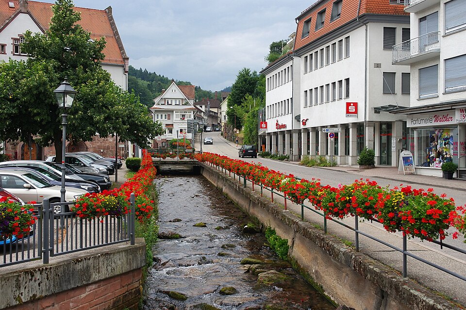 Dach-Fachbetriebe in Bad Herrenalb: Stadtansicht – Foto: Alexignat Dach-Fachbetriebe in Bad Herrenalb: Stadtansicht