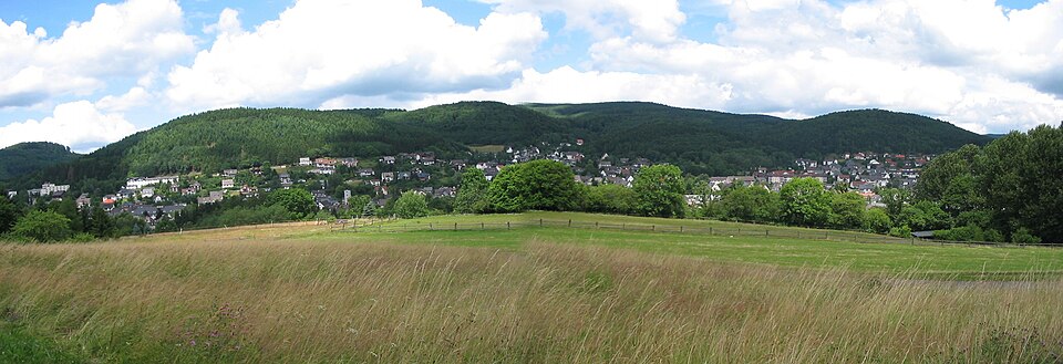 Dach-Fachbetriebe in Bad Laasphe: Panorama