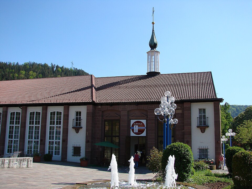 Dach-Fachbetriebe in Bad Liebenzell: Stadtansicht – Foto: Mussklprozz Dach-Fachbetriebe in Bad Liebenzell: Stadtansicht