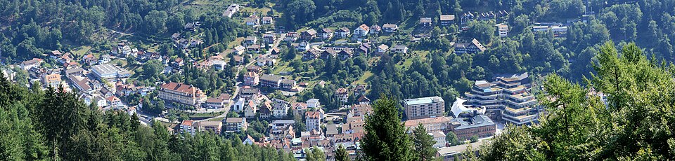 Dach-Fachbetriebe in Bad Wildbad: Stadtansicht