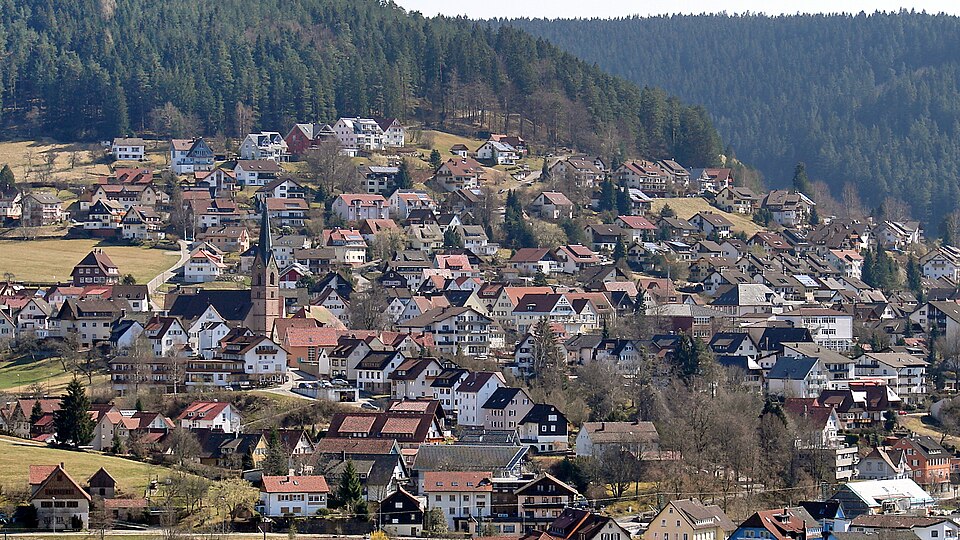 Dach-Fachbetriebe in Baiersbronn: Stadtansicht