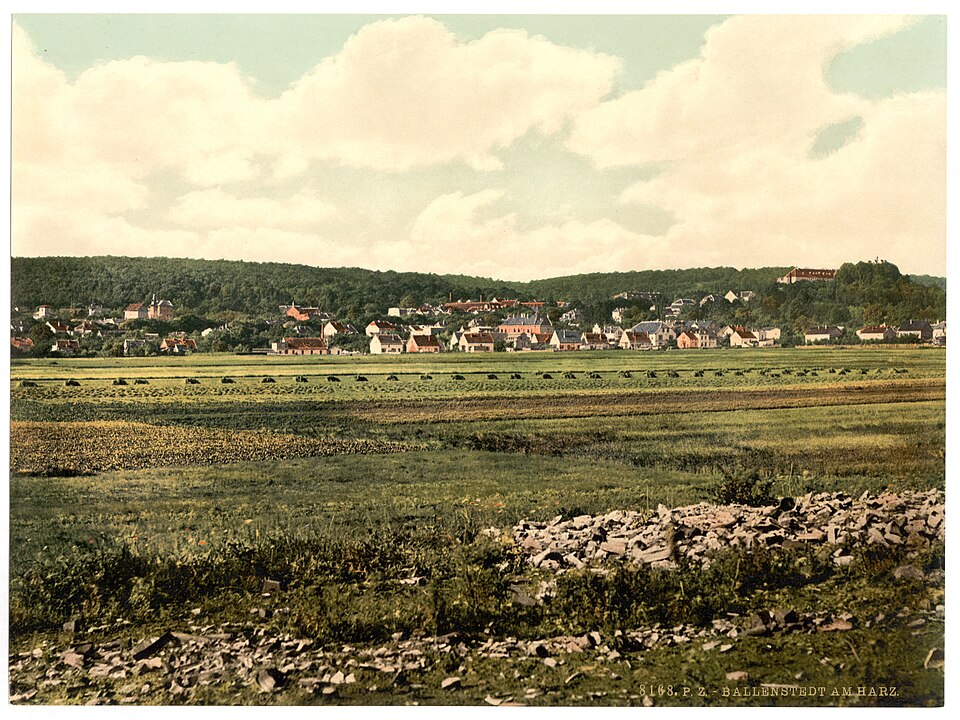 Dach-Fachbetriebe in Ballenstedt: Stadtansicht – Foto: Unknown authorUnknown author Dach-Fachbetriebe in Ballenstedt: Stadtansicht