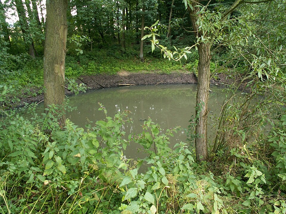 Dach-Fachbetriebe in Belm: Stadtansicht – Foto: Tebdi Dach-Fachbetriebe in Belm: Stadtansicht
