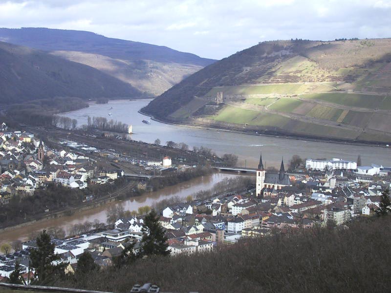 Dach-Fachbetriebe in Bingen am Rhein: Stadtansicht
