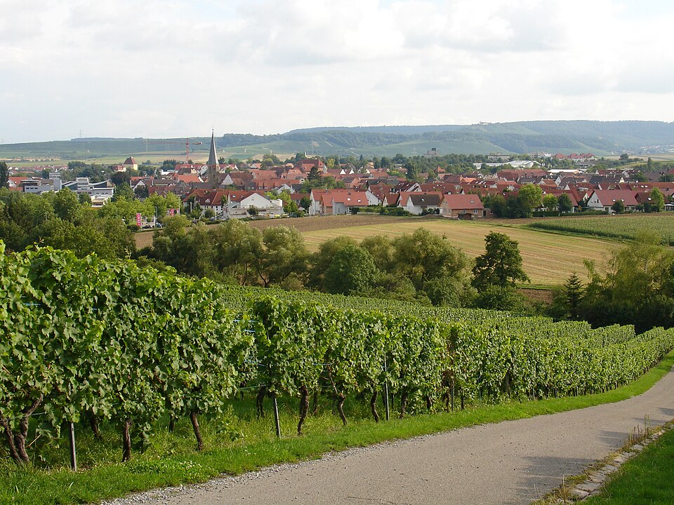 Dach-Fachbetriebe in Brackenheim: Stadtansicht