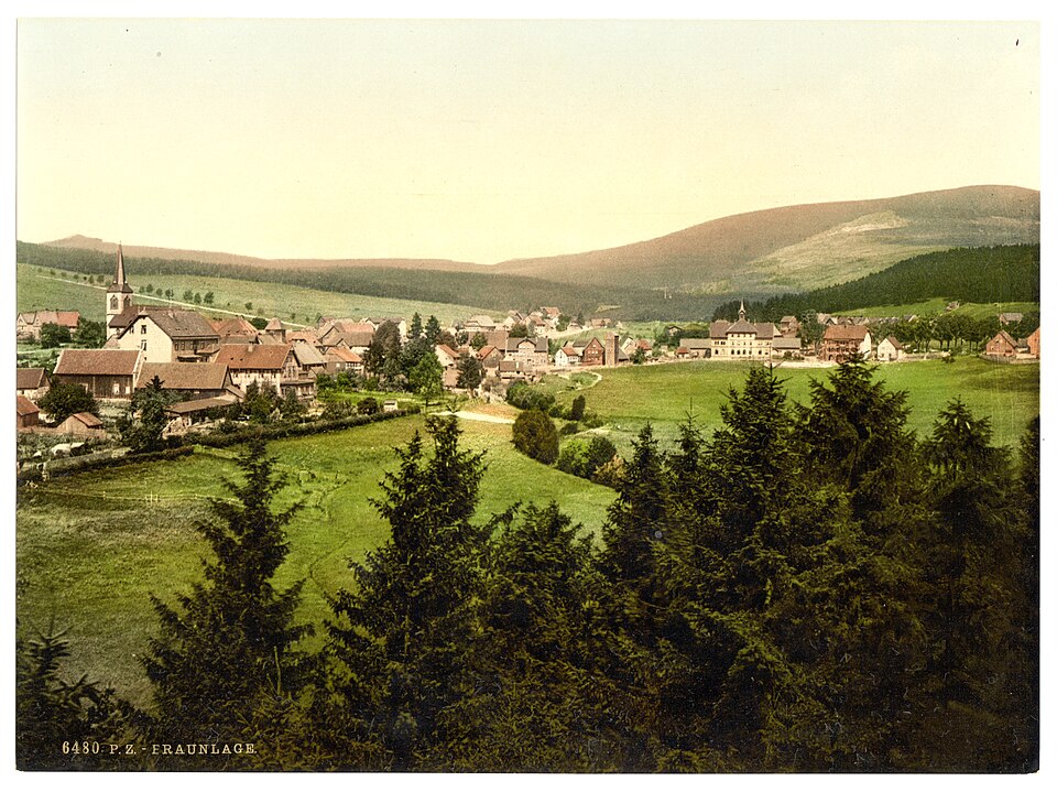 Dach-Fachbetriebe in Braunlage: Stadtansicht