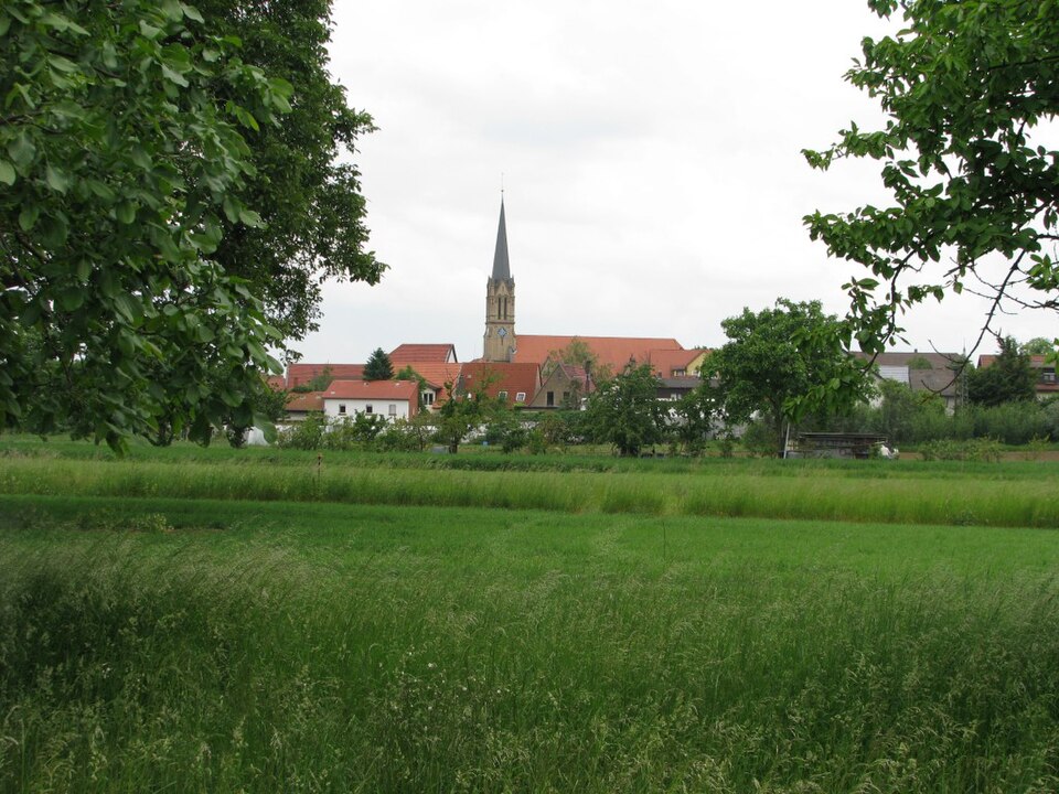 Dach-Fachbetriebe in Brühl: Stadtansicht