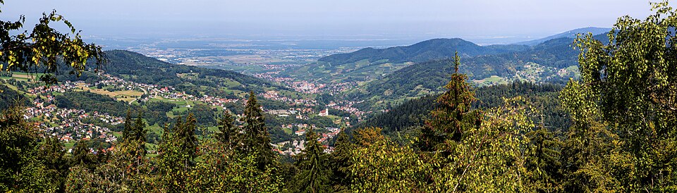 Dach-Fachbetriebe in Bühlertal: Stadtansicht