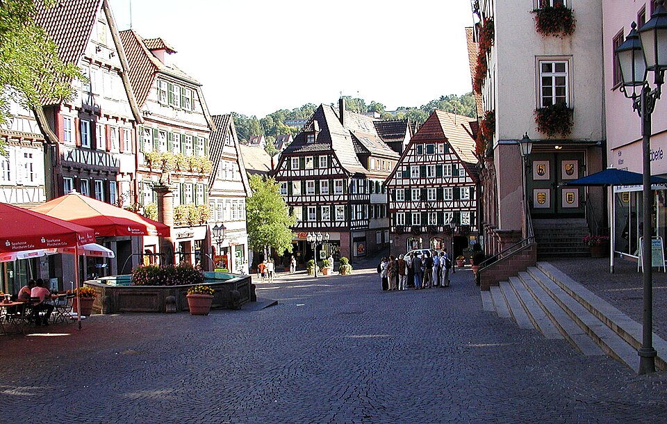 Dach-Fachbetriebe in Calw: Stadtansicht