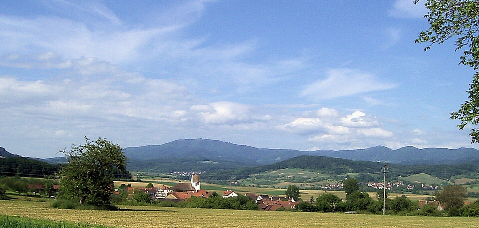Dach-Fachbetriebe in Efringen-Kirchen: Stadtansicht