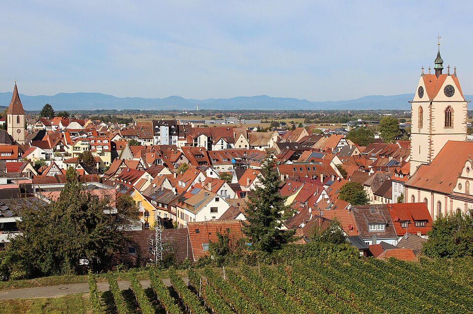 Dach-Fachbetriebe in Endingen: Stadtansicht
