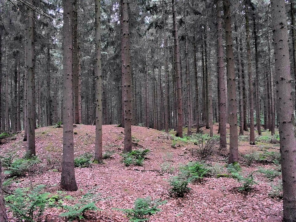 Dach-Fachbetriebe in Goldenstedt: Stadtansicht – Foto: XenonX3 Dach-Fachbetriebe in Goldenstedt: Stadtansicht