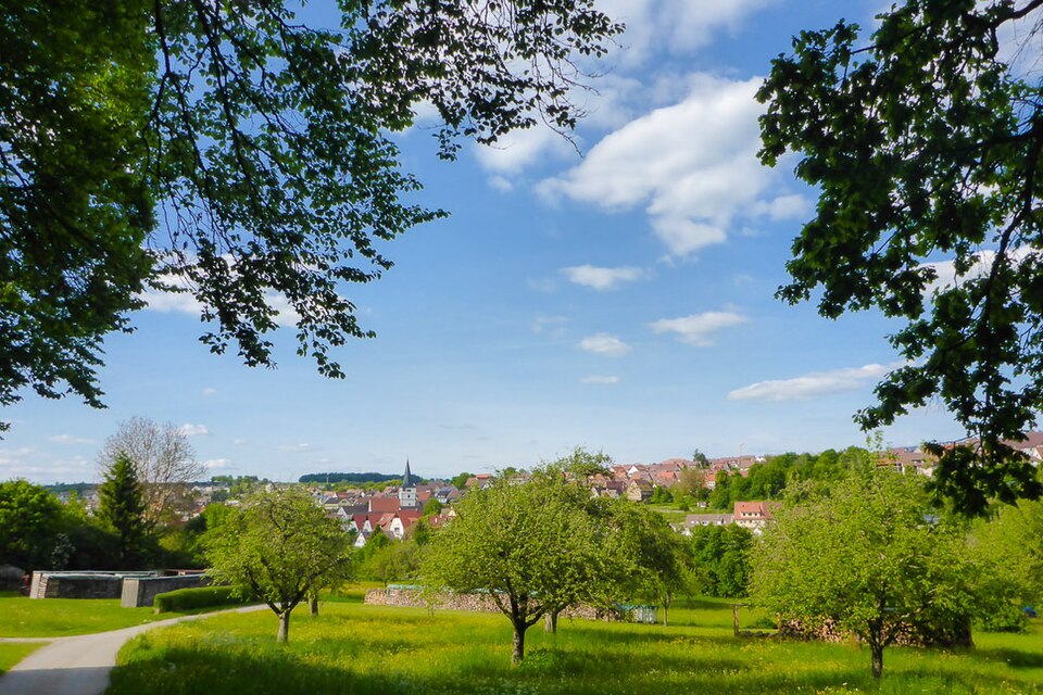 Dach-Fachbetriebe in Grafenau: Stadtansicht
