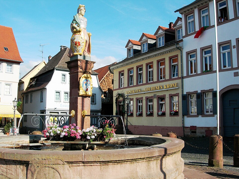 Dach-Fachbetriebe in Groß-Umstadt: Stadtansicht