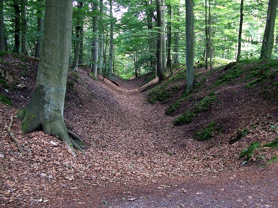 Dach-Fachbetriebe in Großschönau: Stadtansicht