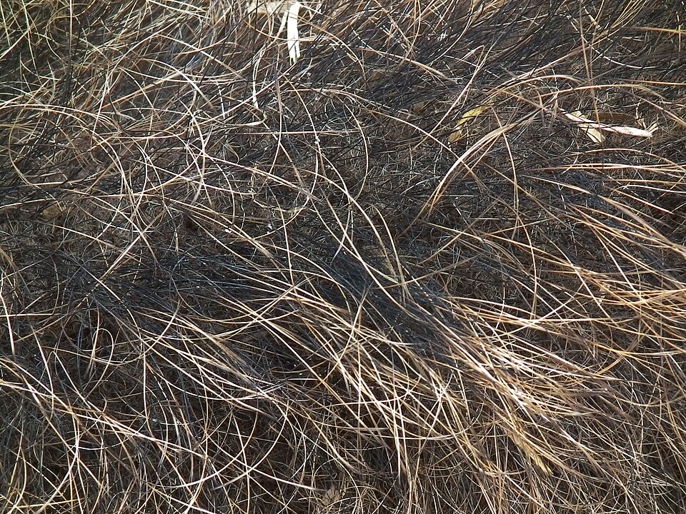 Dach-Fachbetriebe in Haar: Stadtansicht