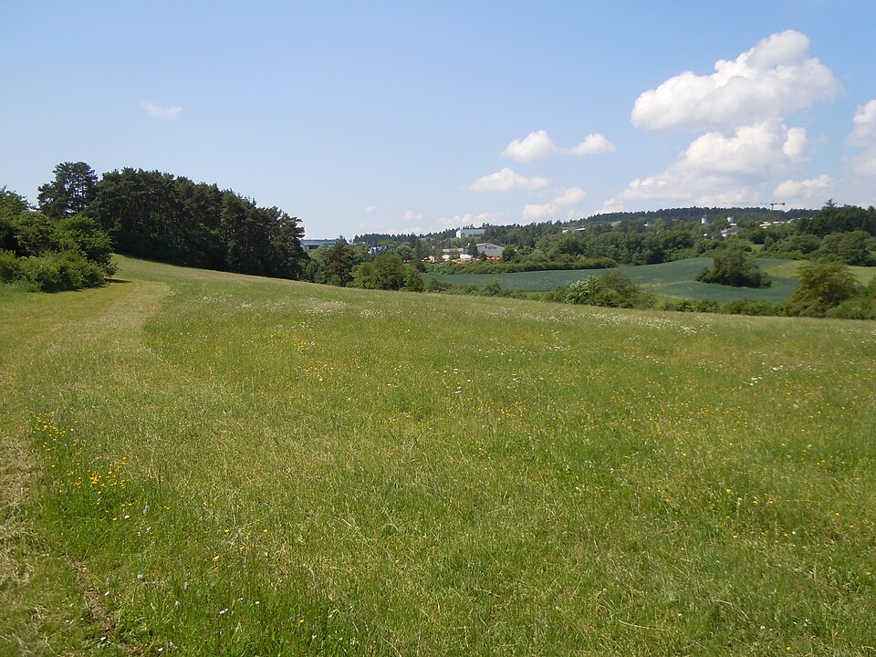 Dach-Fachbetriebe in Haiterbach: Stadtansicht