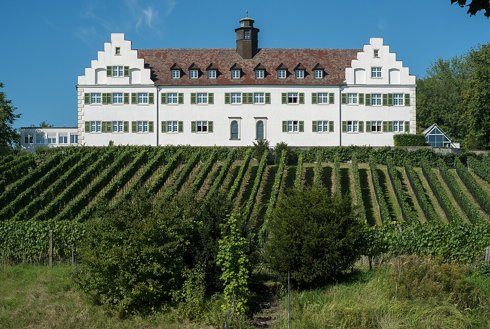 Dach-Fachbetriebe in Immenstaad am Bodensee: Stadtansicht – Foto: Dietrich Krieger Dach-Fachbetriebe in Immenstaad am Bodensee: Stadtansicht