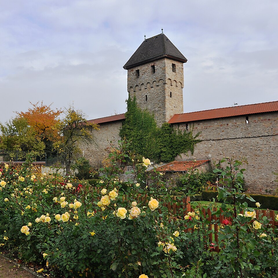 Dach-Fachbetriebe in Kirchheimbolanden: Stadtansicht