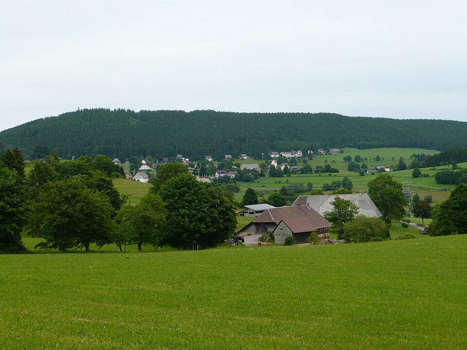 Dach-Fachbetriebe in Lenzkirch: Stadtansicht