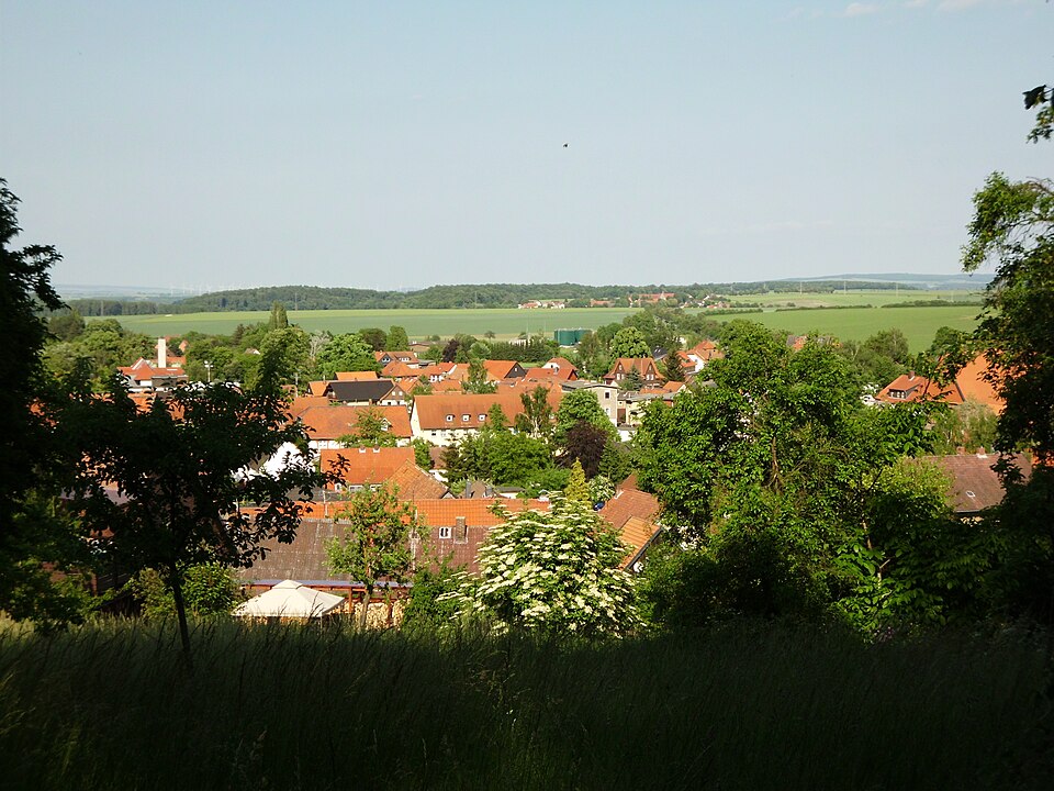 Dach-Fachbetriebe in Liebenburg: Stadtansicht
