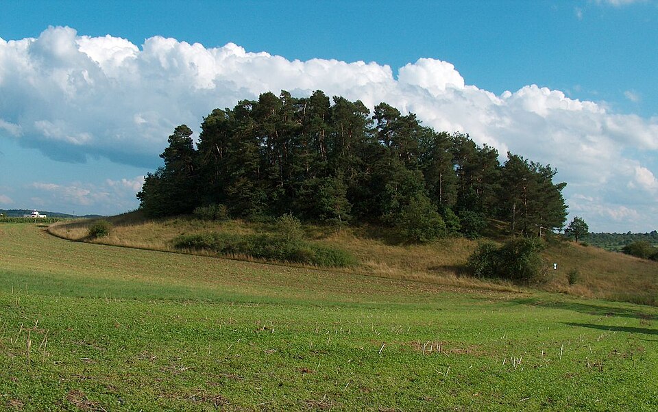 Dach-Fachbetriebe in Magstadt: Stadtansicht