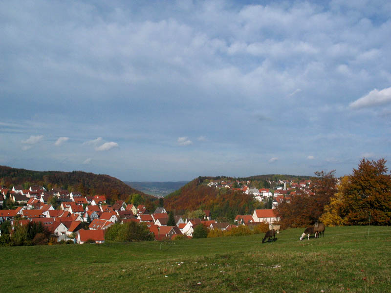 Dach-Fachbetriebe in Meßstetten: Stadtansicht
