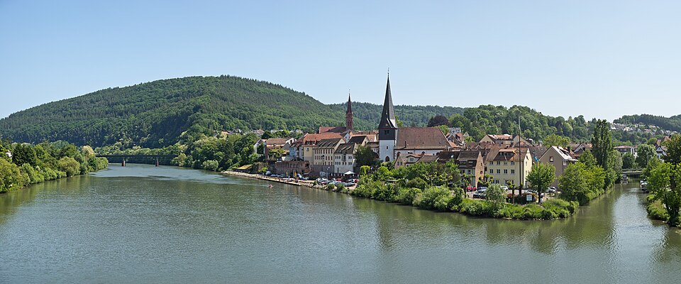 Dach-Fachbetriebe in Neckargemünd: Stadtansicht