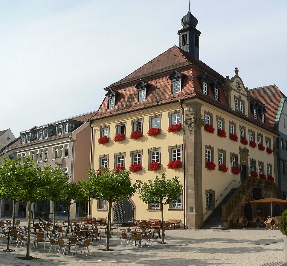 Dach-Fachbetriebe in Neckarsulm: Stadtansicht