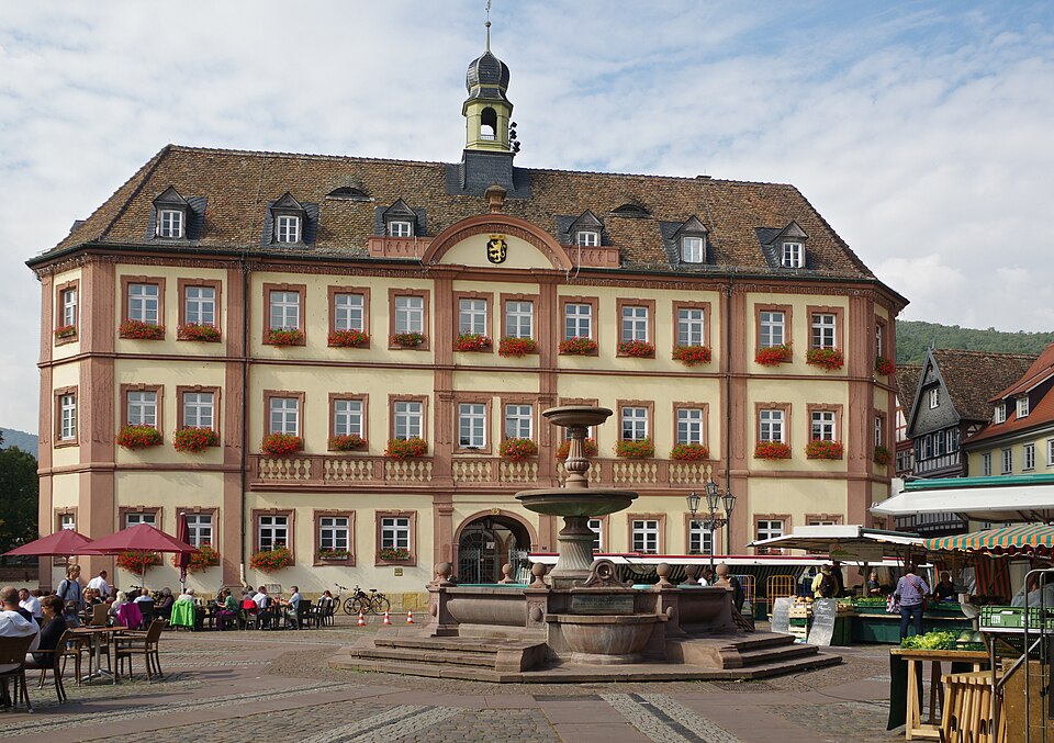 Dach-Fachbetriebe in Neustadt an der Weinstraße: Stadtansicht