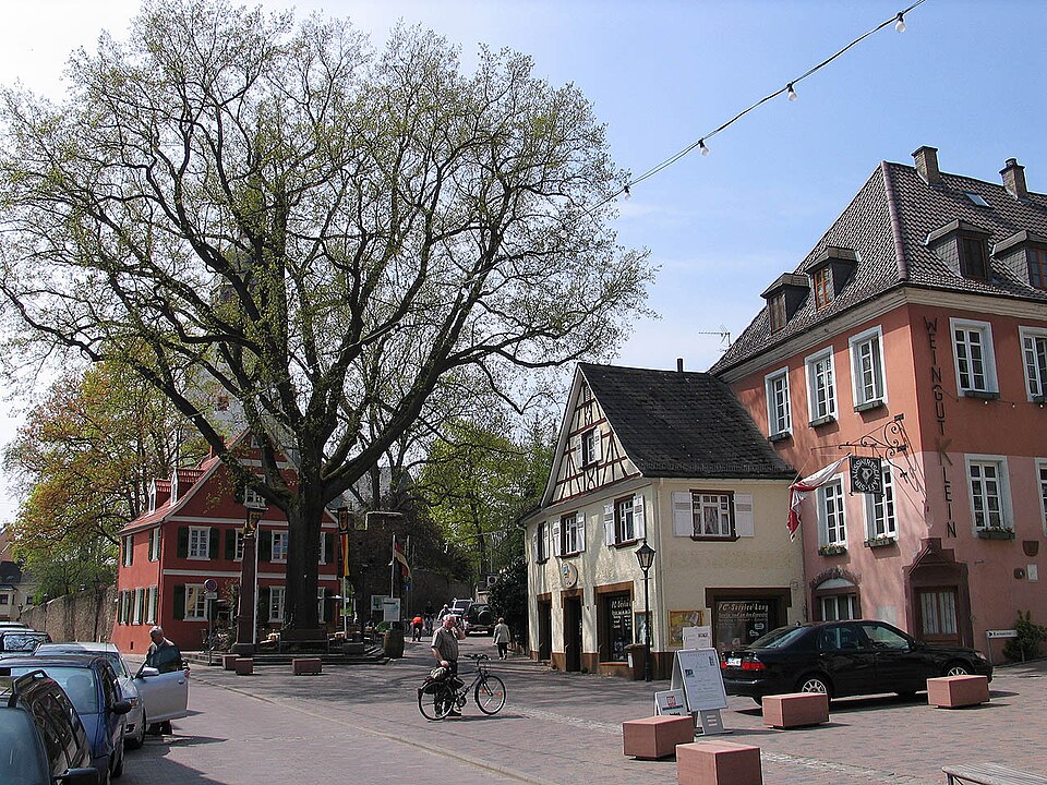 Dach-Fachbetriebe in Nierstein: Stadtansicht – Foto: Luidger Dach-Fachbetriebe in Nierstein: Stadtansicht