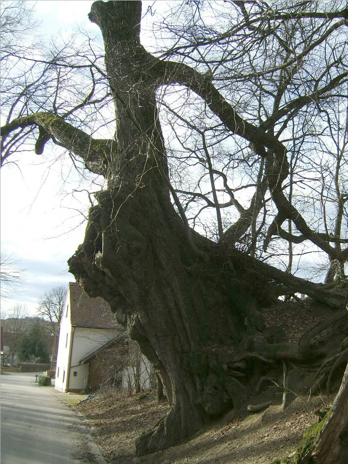 Dach-Fachbetriebe in Petershausen: Stadtansicht