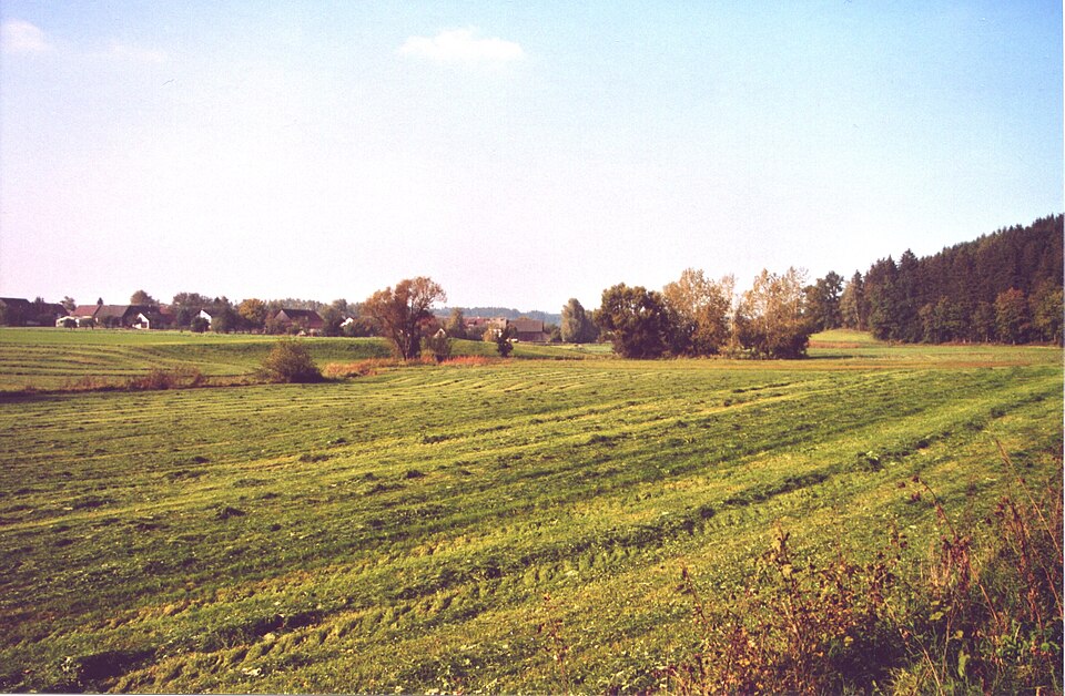 Dach-Fachbetriebe in Pfaffenhofen an der Roth: Stadtansicht – Foto: MrHope Dach-Fachbetriebe in Pfaffenhofen an der Roth: Stadtansicht