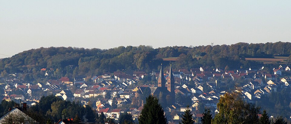 Dach-Fachbetriebe in Püttlingen: Stadtansicht