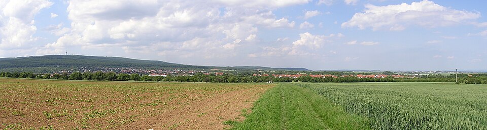 Dach-Fachbetriebe in Rosbach vor der Höhe: Panorama