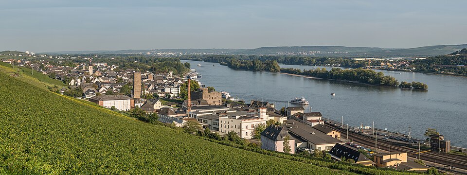 Dach-Fachbetriebe in Rüdesheim am Rhein: Stadtansicht – Foto: DXR Dach-Fachbetriebe in Rüdesheim am Rhein: Stadtansicht