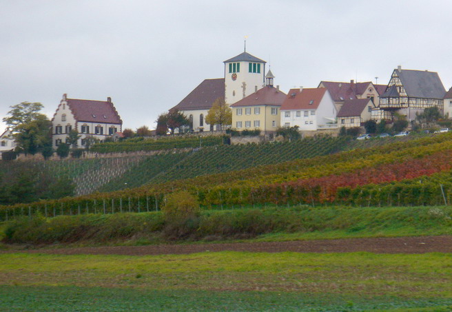 Dach-Fachbetriebe in Sachsenheim: Stadtansicht