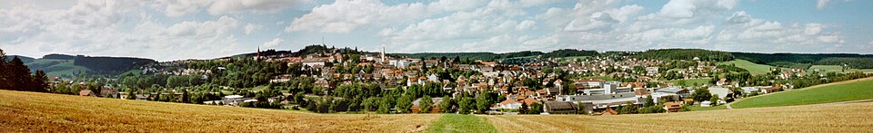 Dach-Fachbetriebe in Sankt Georgen im Schwarzwald: Panorama