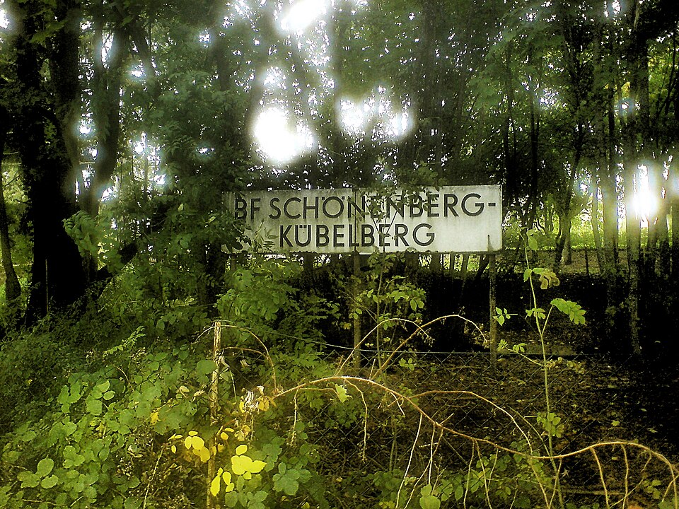 Dach-Fachbetriebe in Schönenberg-Kübelberg: Stadtansicht