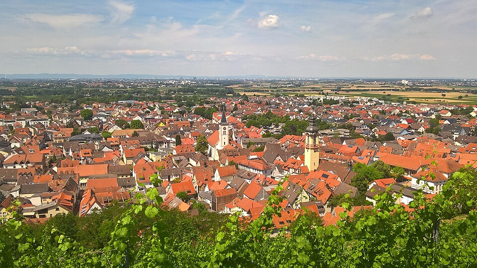 Dach-Fachbetriebe in Schriesheim: Stadtansicht