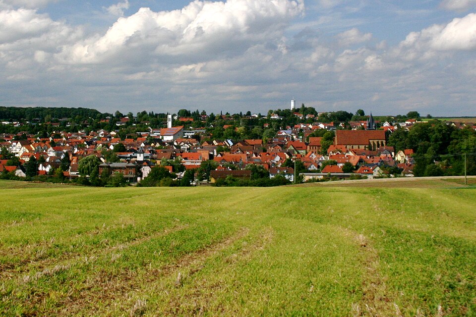 Dach-Fachbetriebe in Schwaigern: Stadtansicht