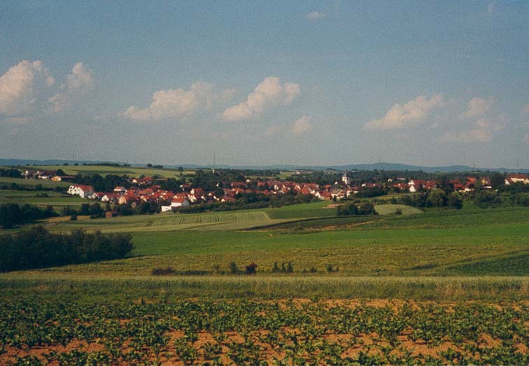 Dach-Fachbetriebe in Schwaikheim: Stadtansicht – Foto: Sylvia Anna Dach-Fachbetriebe in Schwaikheim: Stadtansicht