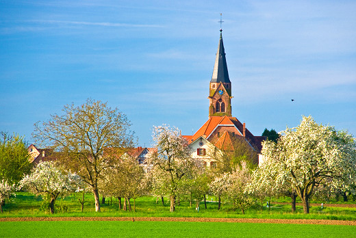 Dach-Fachbetriebe in Schwanau: Kirche