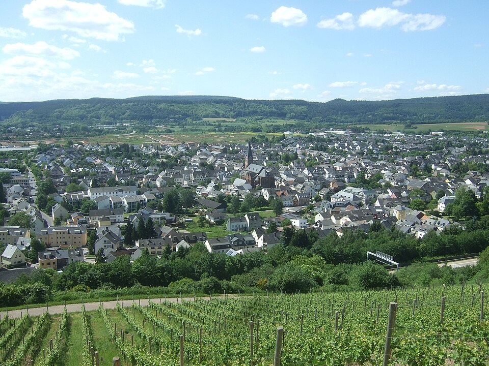 Dach-Fachbetriebe in Schweich: Stadtansicht