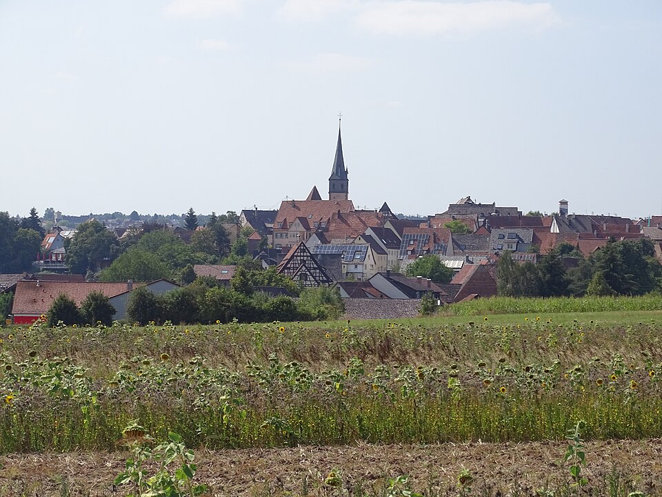Dach-Fachbetriebe in Tiefenbronn: Stadtansicht