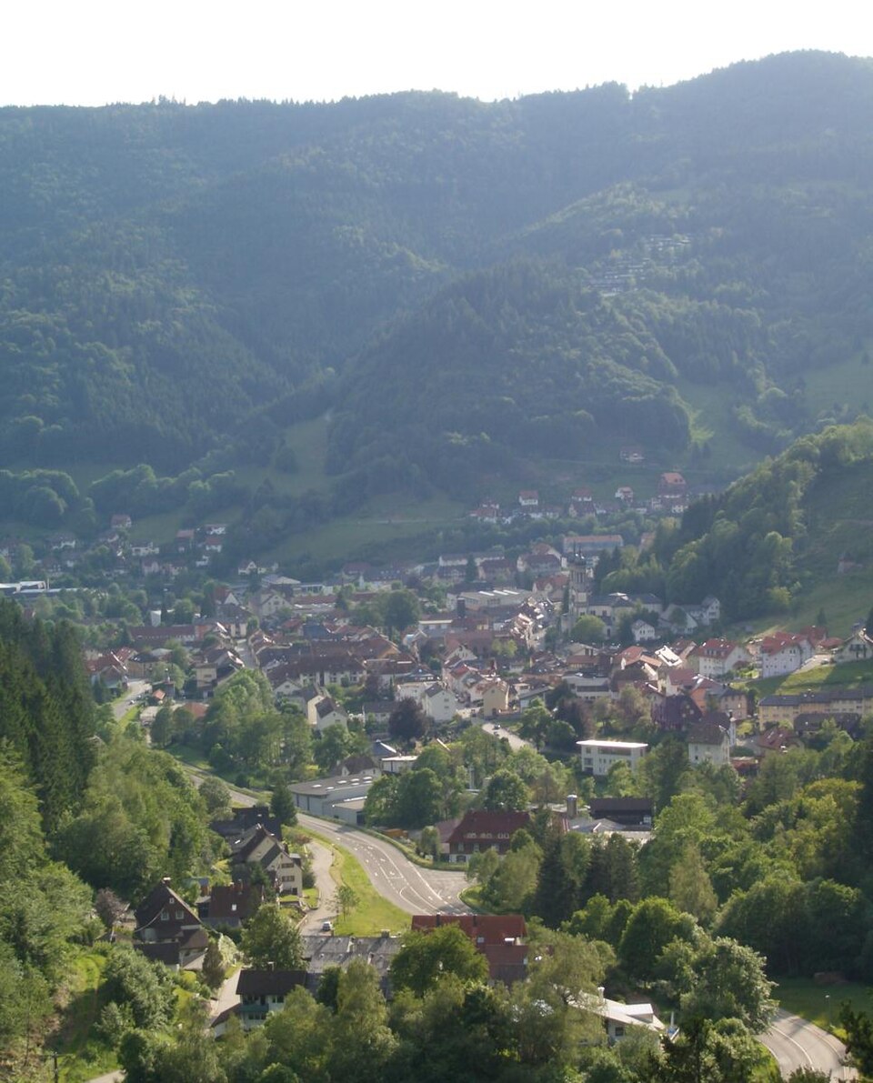 Dach-Fachbetriebe in Todtnau: Stadtansicht